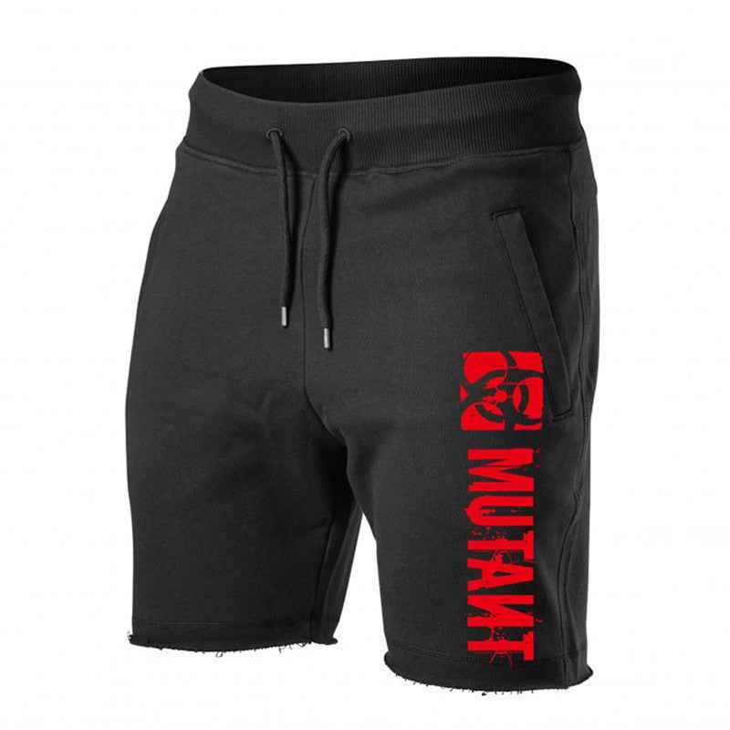 Summer Sports Shorts - Breathable Loose Fitness Shorts